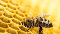 21 Sexual Fetishes You've Never Heard of Before