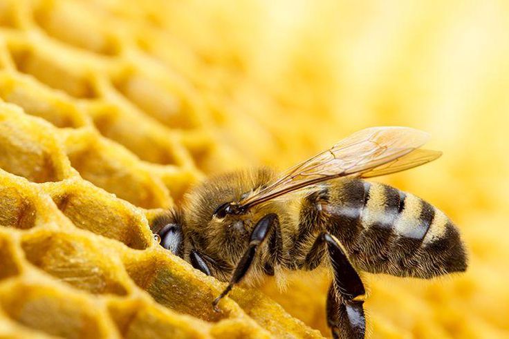 21 Sexual Fetishes You've Never Heard of Before