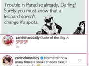 Zari Hassan’s reaction to Diamond and Tanasha Donna’s alleged breakup