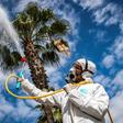 A Moroccan health ministry worker disinfects a street in the capital Rabat