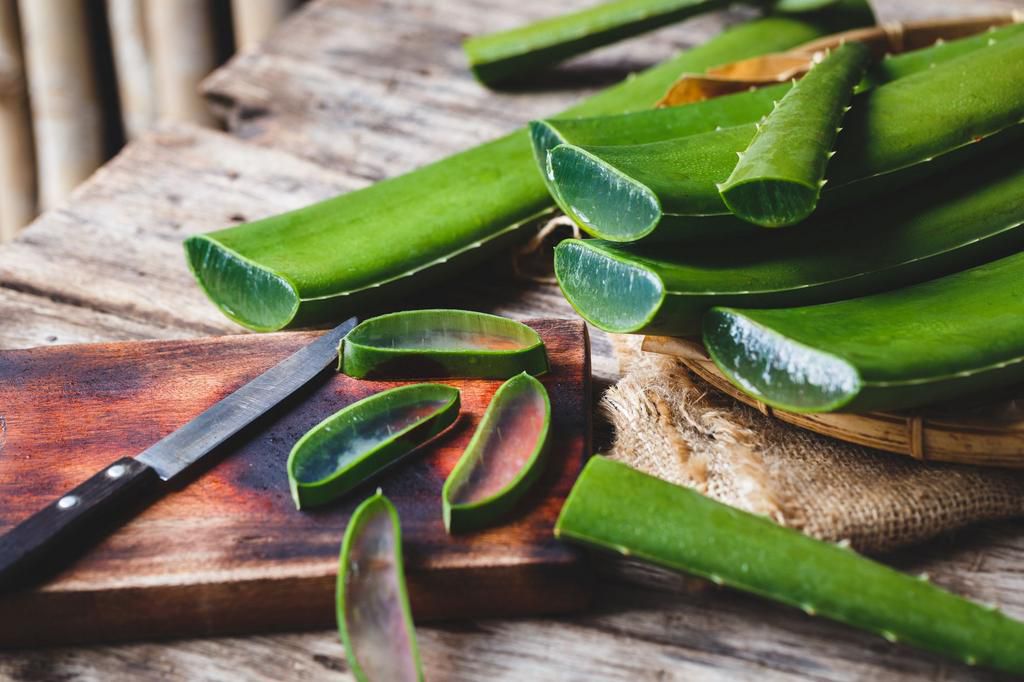 11 Ways to Get Rid of Mosquito Bites and Beat That Annoying Itch