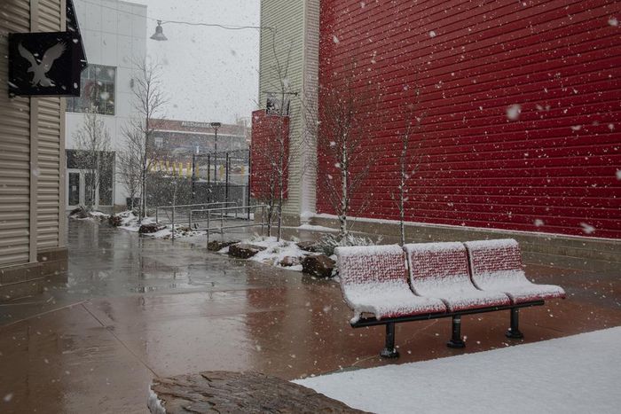 Temperature Checks at the Shoe Store? Social Distancing While Browsing for Handbags?