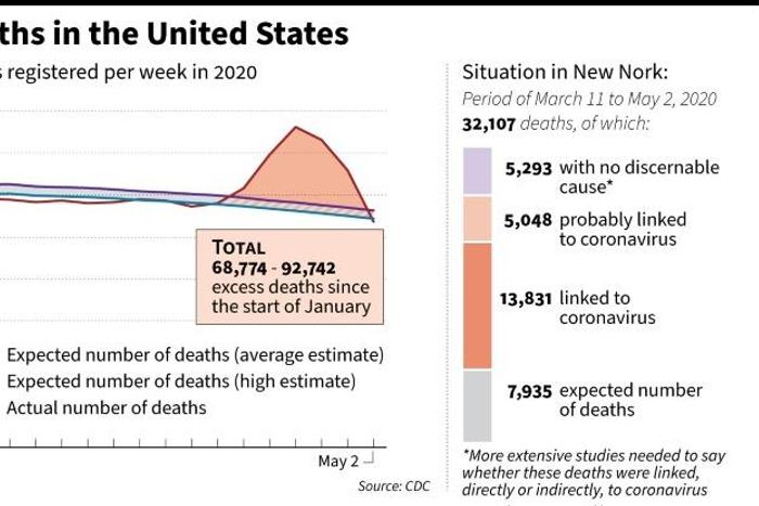 Excess deaths in the United States since early January, and details of excess deaths in New York