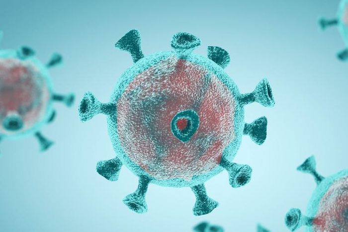 How Do You Get Tested For Novel Coronavirus?