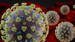 Why We Don't Know the True COVID-19 Death Rate