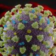 Why We Don't Know the True COVID-19 Death Rate