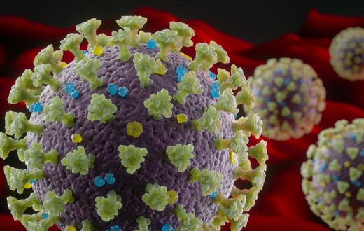 Why We Don't Know the True COVID-19 Death Rate