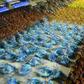 The first night of Rio's 2020 carnival parade, when the coronvirus is now thought to have been already spreading in Brazil