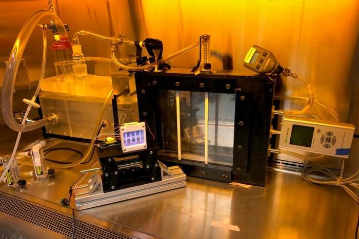 This photo taken on March 26, 2020 by Columbia University researcher Manuela Buonanno shows an experiment being conducted on the use of a special kind of ultraviolet rays against the coronavirus