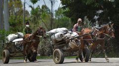 Cuban men wearing face masks transport food on their carts in the town of Bahia Honda - the country's economy is suffering due to the coronavirus crisis