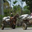 Cuban men wearing face masks transport food on their carts in the town of Bahia Honda - the country's economy is suffering due to the coronavirus crisis