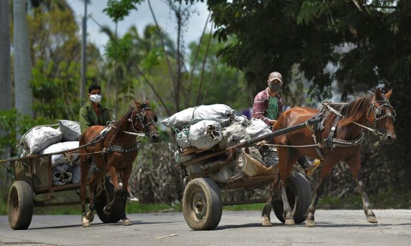 Cuban men wearing face masks transport food on their carts in the town of Bahia Honda - the country's economy is suffering due to the coronavirus crisis
