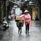 Despite a long and porous border with China, Vietnam has recorded just 268 virus cases and zero deaths, according to official tallies
