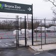 The Bronx Zoo Is Also Empty, but the Animals Don't Mind