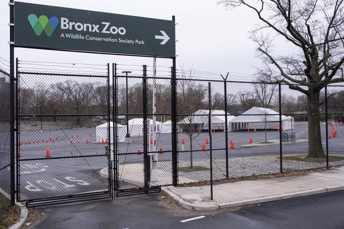The Bronx Zoo Is Also Empty, but the Animals Don't Mind