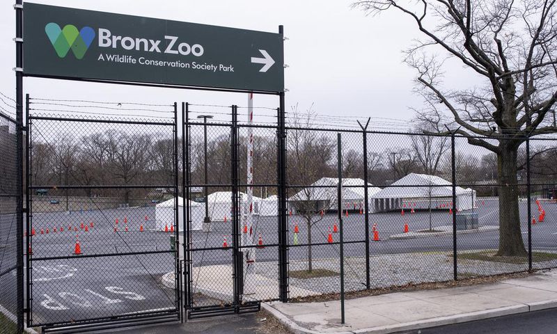 The Bronx Zoo Is Also Empty, but the Animals Don't Mind