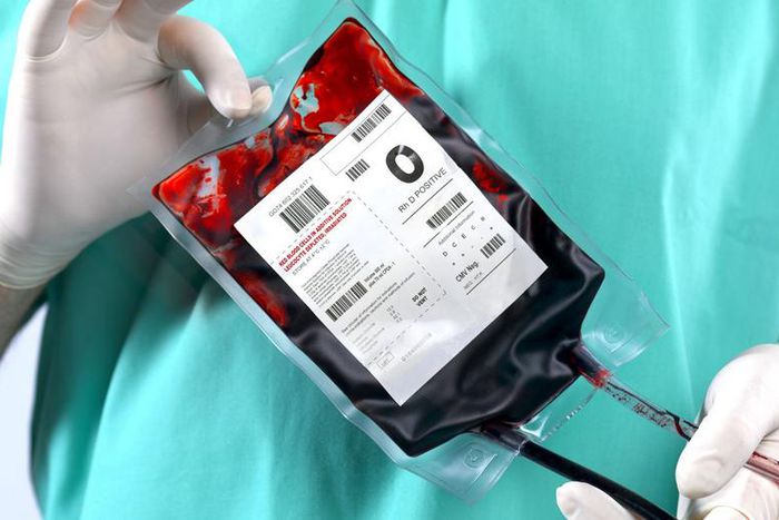 The Red Cross Urgently Needs More Blood Donors