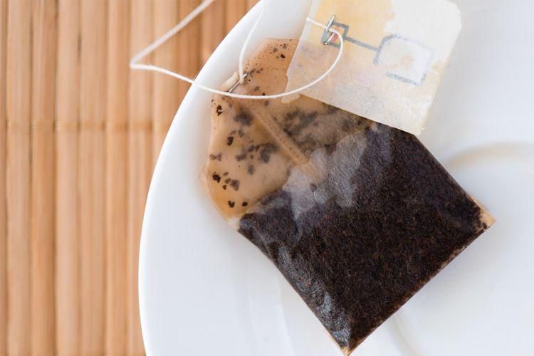 11 Ways to Get Rid of Mosquito Bites and Beat That Annoying Itch