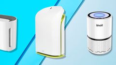 The 8 Best Air Purifiers You Can Buy Online