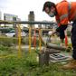 Turds in the suburbs: Aussie authorities are unrolling a vast programme of sewage testing this week in the hope of finding hidden clusters of the virus