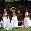 Auckland's annual Pasifika Festival is billed as the biggest Polynesian celebration in the world