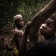 Young Bayaka Pygmies set up camp in the Dzanga-Sangha reserve in March