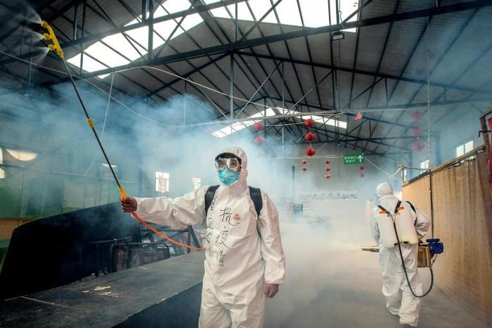 China did not say the WHO probe should look at the origins of the pandemic, only the global response to it