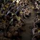 Rights groups have warned of a race against time to protect inmates, calling on all countries to relieve the pressure on packed prisons through early release rulings