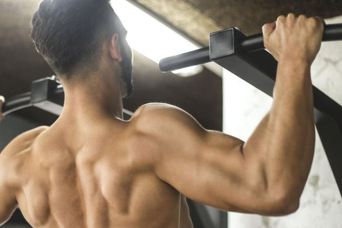 The Greatest Pullup Bars You Can Get Right Now