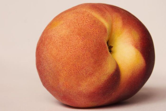 A Beginner’s Guide to Bottoming