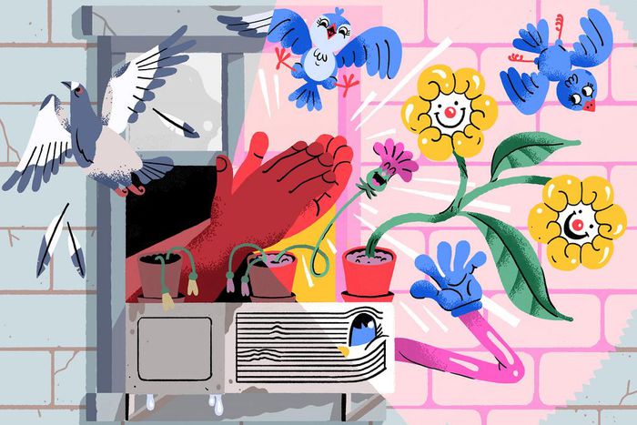 In Praise of Quarantine Clapping