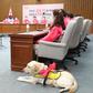 Kim Ye-ji and her guide dog Joy at a party meeting ahead of the parliamentary elections