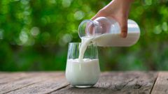 Watch Dr. P Drain 'Milky' Steatocystomas