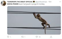 Funny memes Kenyans are sending after Kenya Power, Umeme Uganda announced nationwide power outages