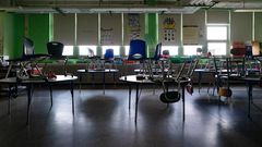 Imagine Online School in a Language You Don't Understand