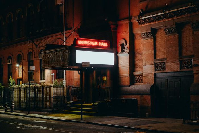 Disconcerted: A Music Critic's Empty Nights