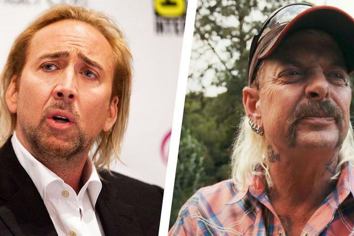 Nicolas Cage Will Play Joe Exotic
