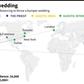 Graphic on an online wedding in India that has received more than 260,000 views on social media.