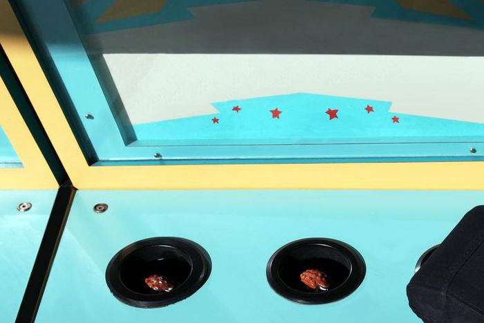 Dr. Pimple Popper Pops So Many Nose Whiteheads