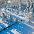 Reindeer herders in Sweden's indigenous Sami community say they are having to adapt to fluctuating weather temperatures