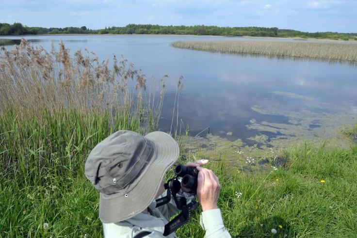 The Biebrza National Park features some of Europe's best preserved wetlands and is home to moose, beavers, wolves and unique birds 