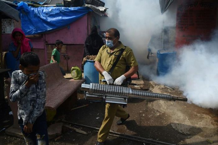 Every year illnesses such as dengue fever and malaria infect more than half a million people and kill hundreds in India