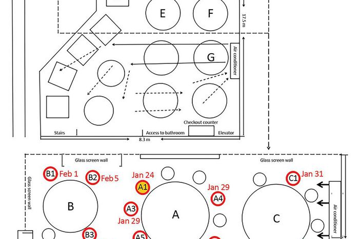How Coronavirus Infected Some, but Not All, in a Restaurant