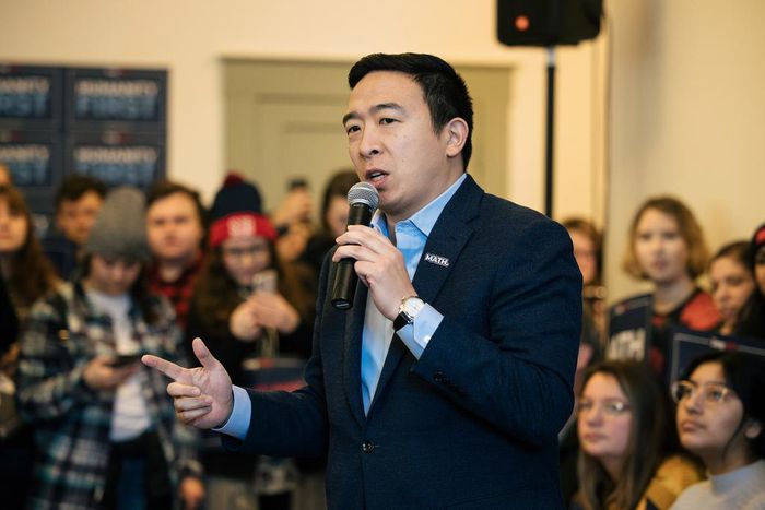 Andrew Yang's Next Move: A New Nonprofit Organization