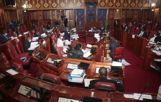 The Kenyan Senate during a recent session