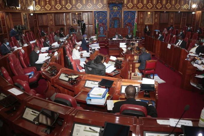 The Kenyan Senate during a recent session