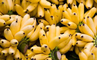 Dr. Pimple Popper Squeezed a 'Mashed Banana' Cyst