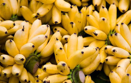 Dr. Pimple Popper Squeezed a 'Mashed Banana' Cyst