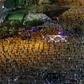 A proposed coalition deal between veteran Israeli Prime Minister Benhamin Netanyahu and his erswhile rival Benny Gantz has sparked a spate of protests in recent days and could yet be torpedoed by parliament or the Supreme Court