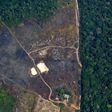 Environmentalists warn 2020 is on track to be the most destructive year ever for the world's biggest rainforest